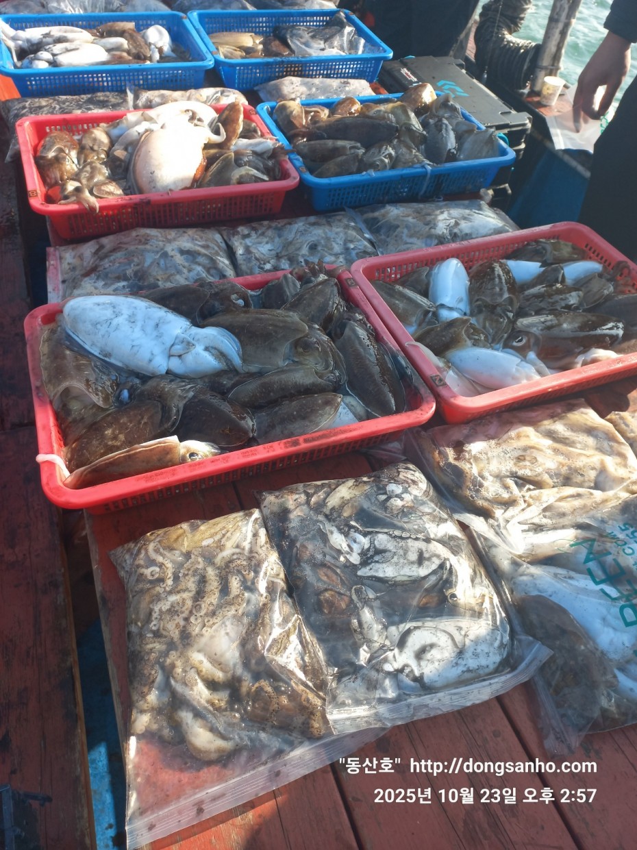 709ea2f9e85c082ed71db87f9917ea68_1761239