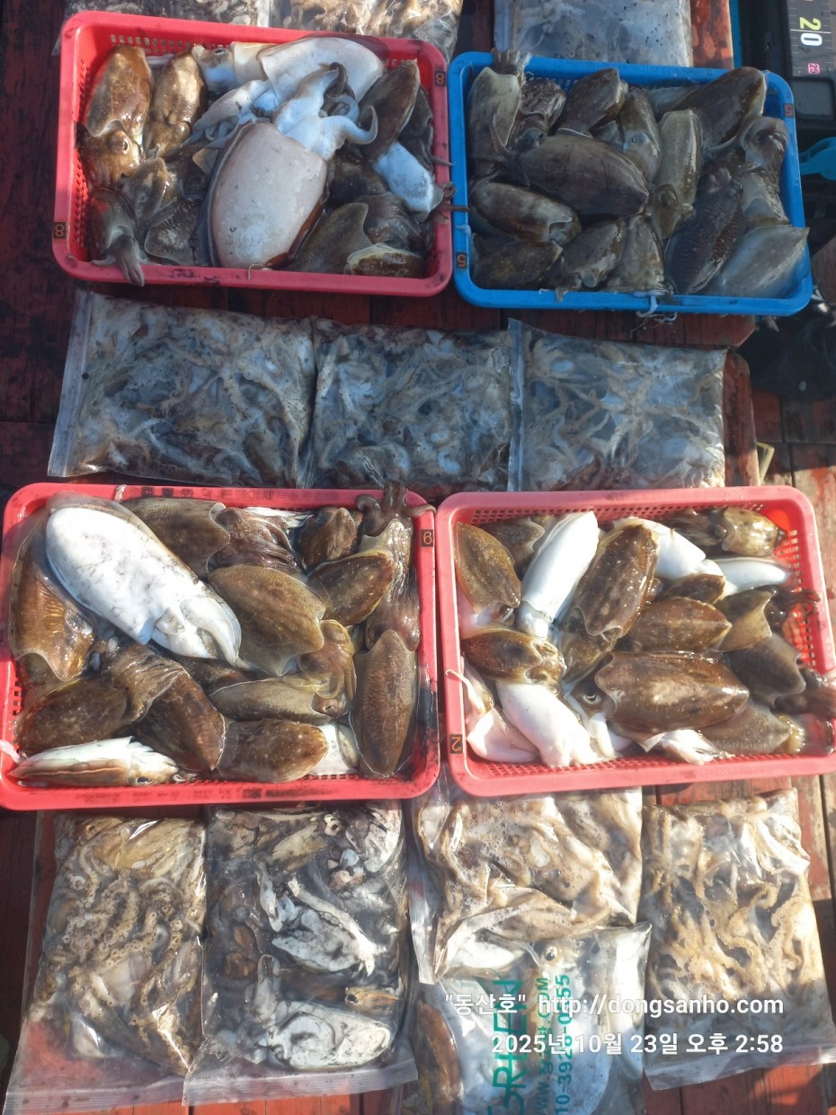 709ea2f9e85c082ed71db87f9917ea68_1761239