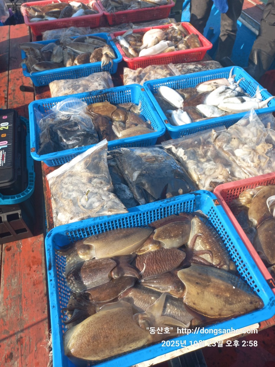 709ea2f9e85c082ed71db87f9917ea68_1761239