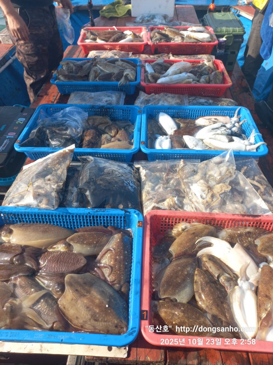 709ea2f9e85c082ed71db87f9917ea68_1761239