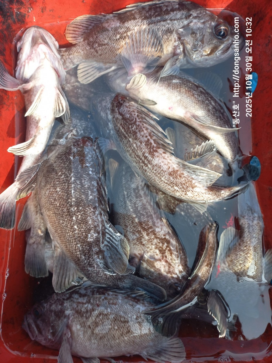 857128367e0136763c15d97be9d2e54e_1761840