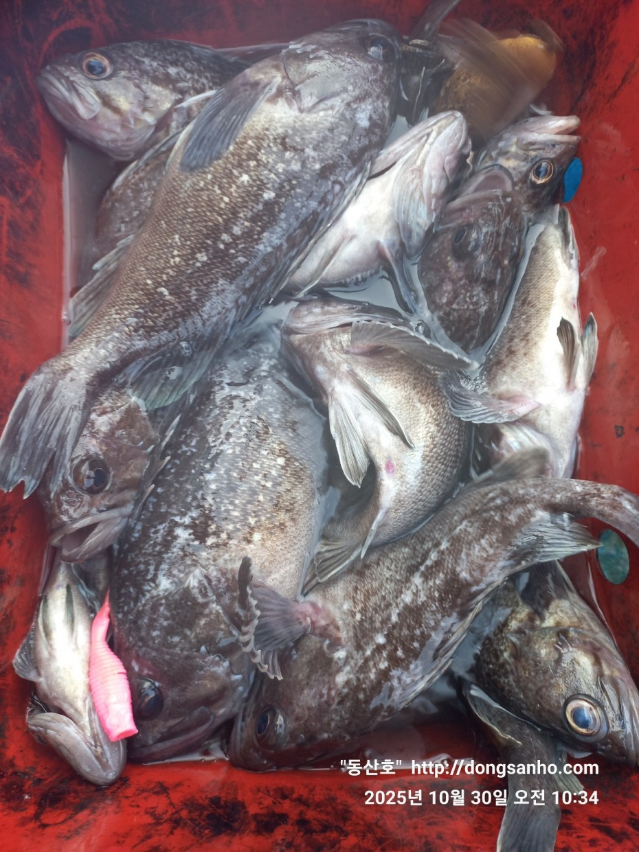 857128367e0136763c15d97be9d2e54e_1761840