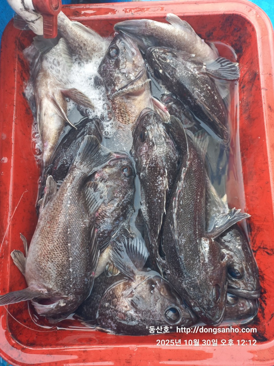 857128367e0136763c15d97be9d2e54e_1761840