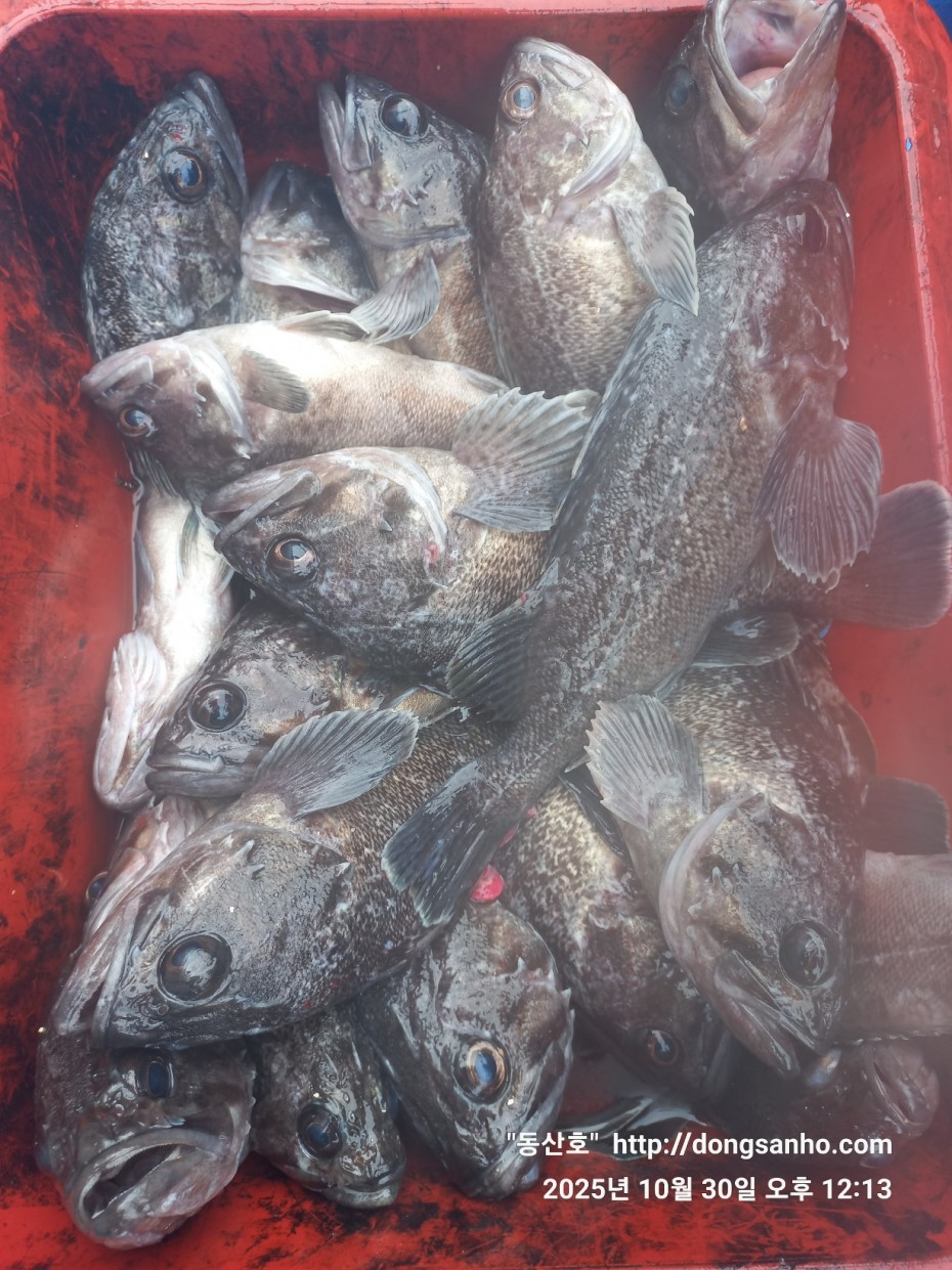 857128367e0136763c15d97be9d2e54e_1761840