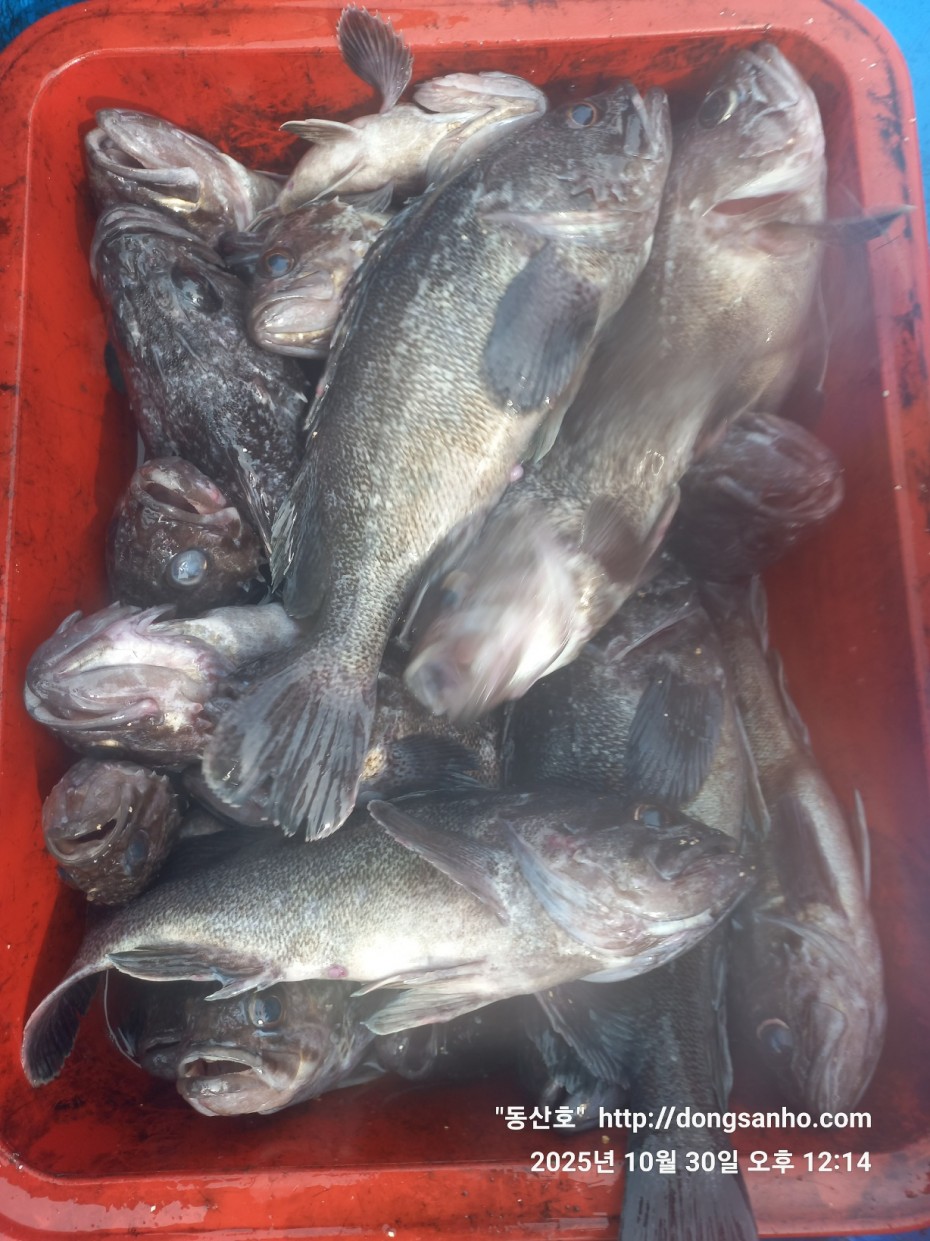 857128367e0136763c15d97be9d2e54e_1761840