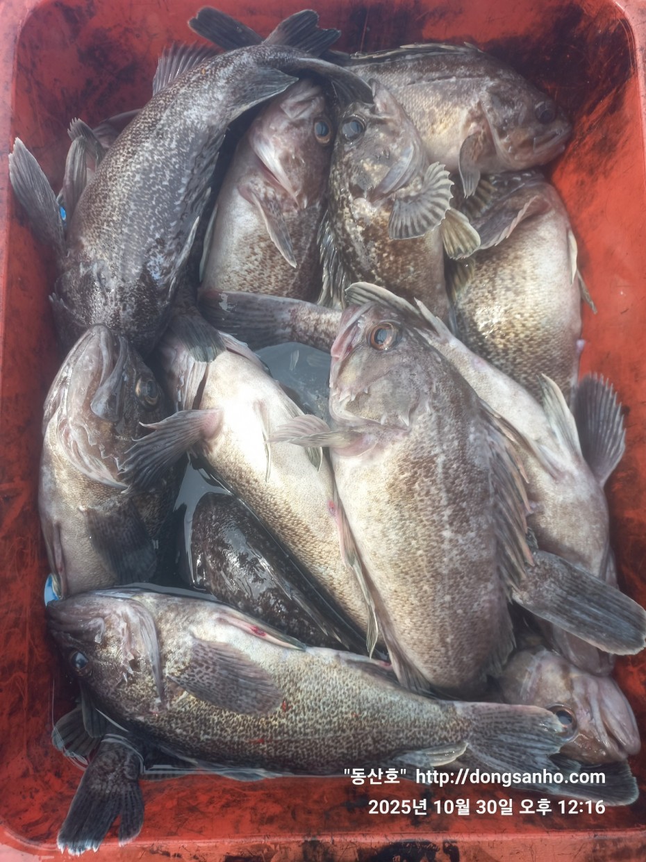 857128367e0136763c15d97be9d2e54e_1761840