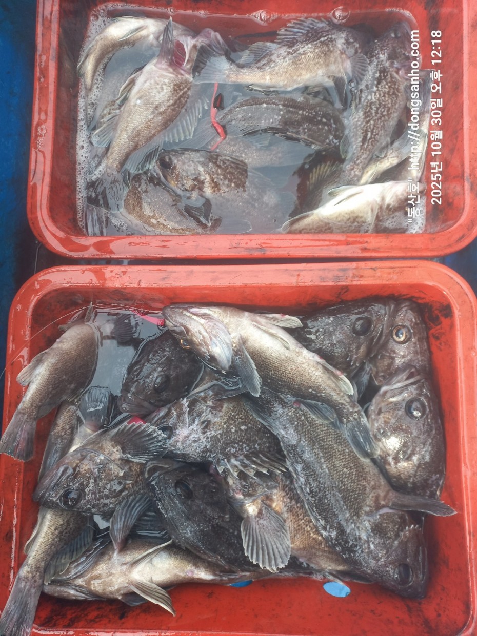 857128367e0136763c15d97be9d2e54e_1761840