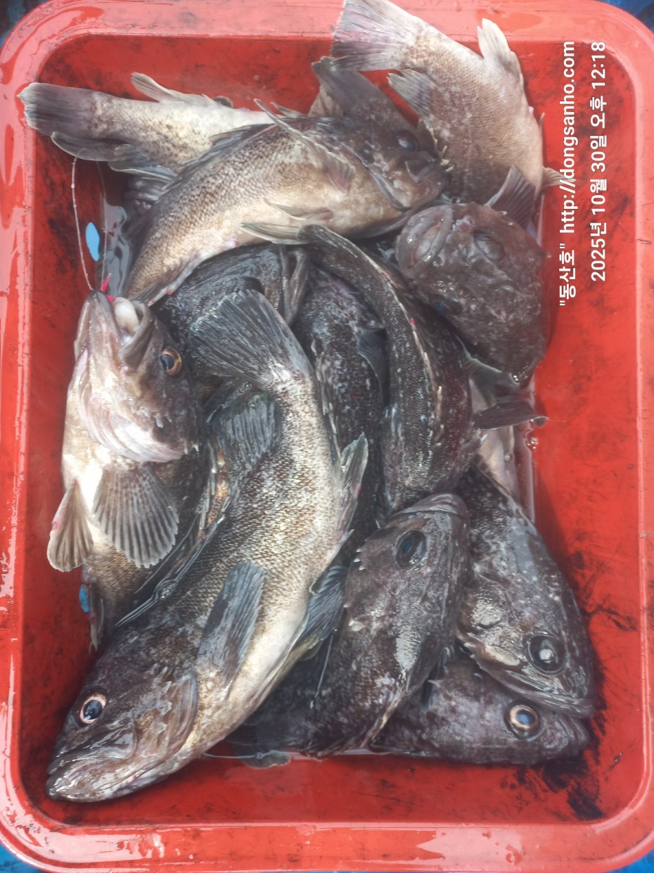 857128367e0136763c15d97be9d2e54e_1761840