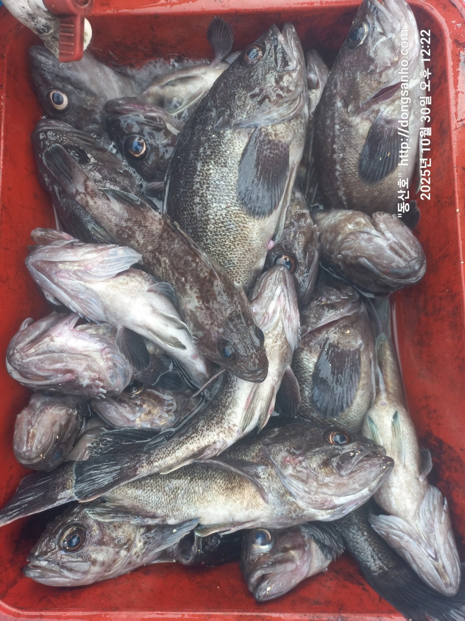 857128367e0136763c15d97be9d2e54e_1761840