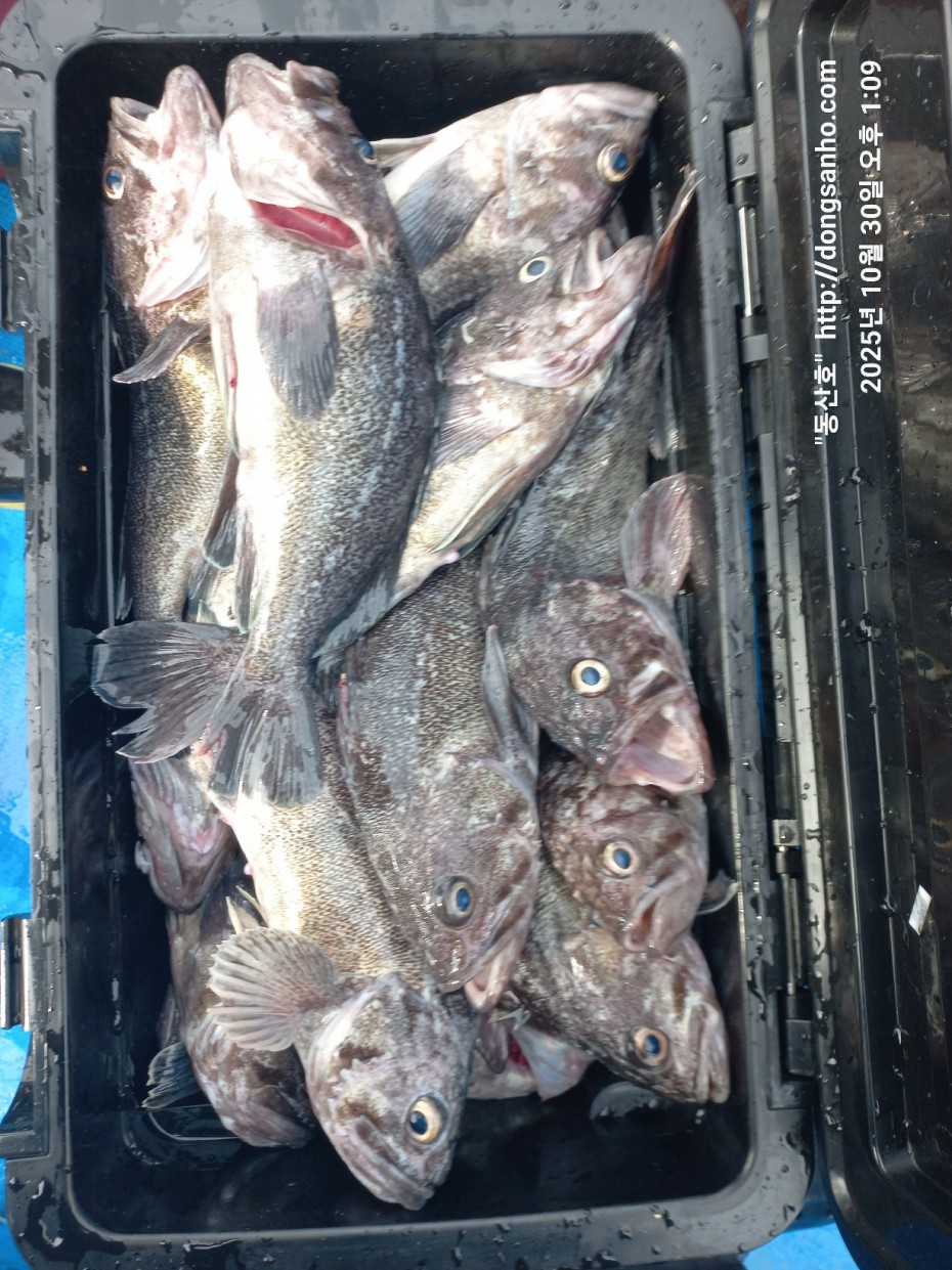 857128367e0136763c15d97be9d2e54e_1761840