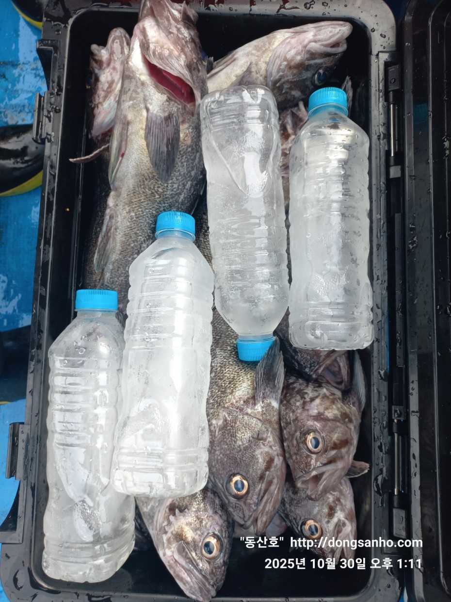 857128367e0136763c15d97be9d2e54e_1761840