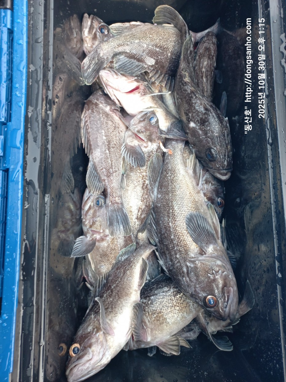 857128367e0136763c15d97be9d2e54e_1761840