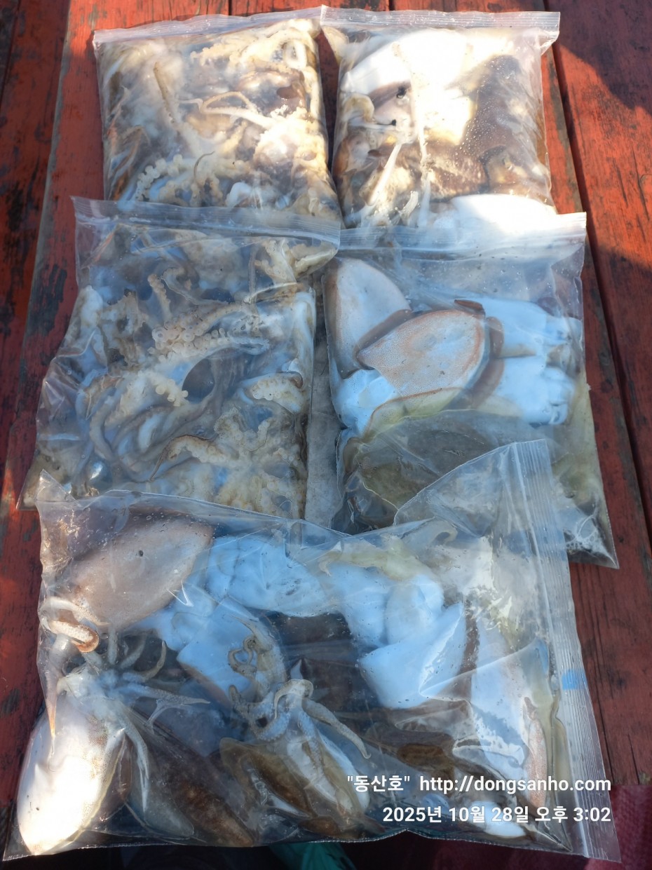 cf880e5a01ebf1a48708f4560d101d4c_1761661