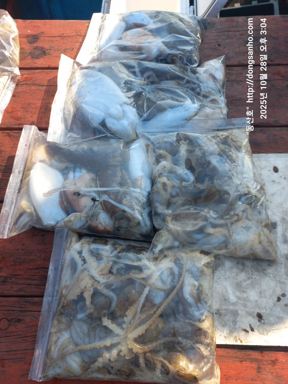 cf880e5a01ebf1a48708f4560d101d4c_1761661