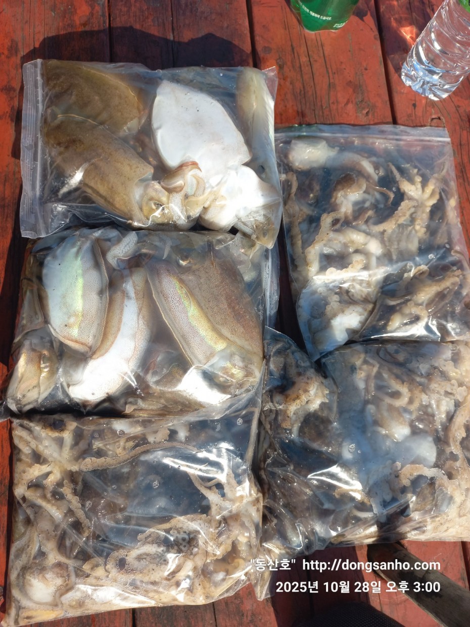 cf880e5a01ebf1a48708f4560d101d4c_1761662