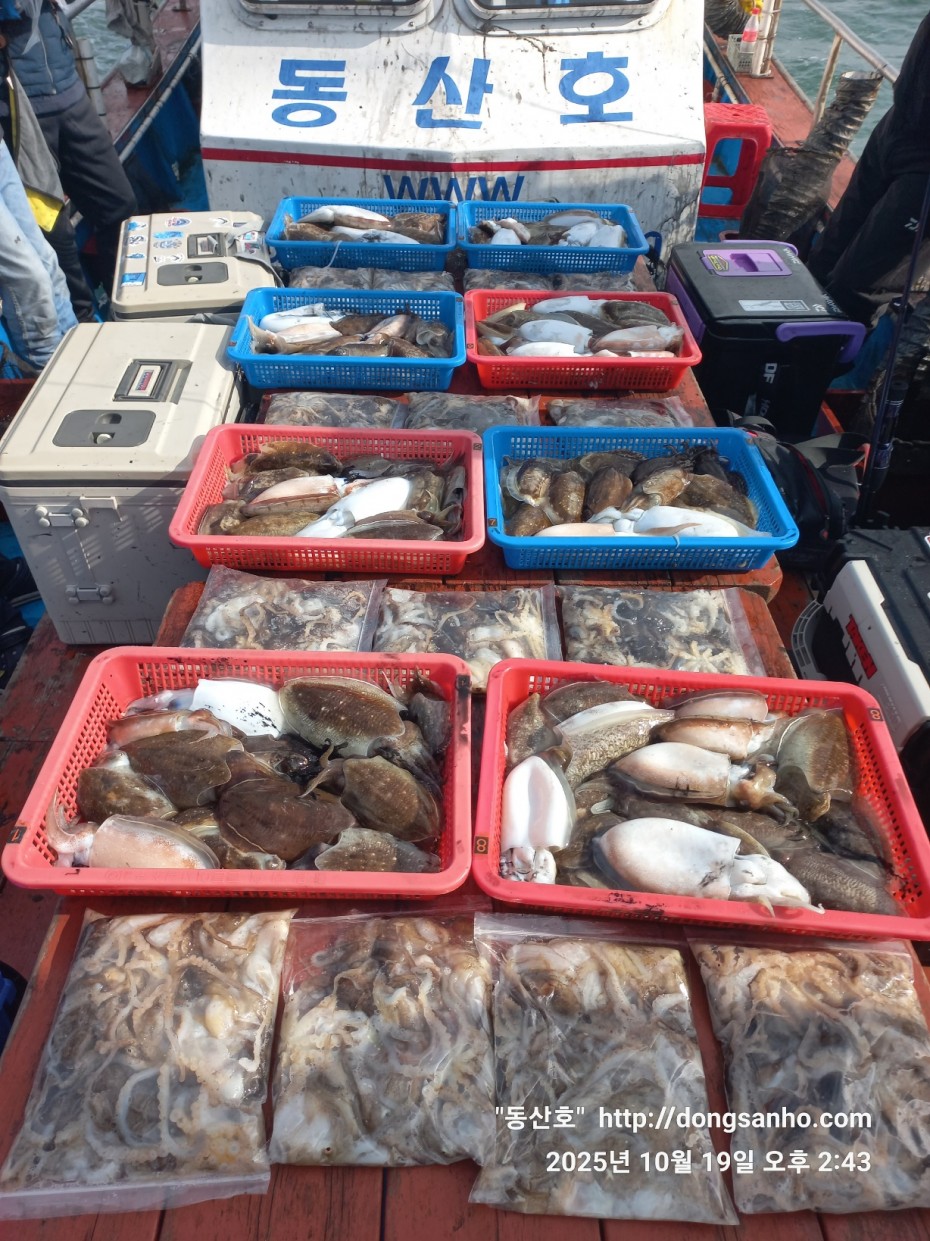 e37850fde0ae6fbd779ea06b6e0b43c2_1760943