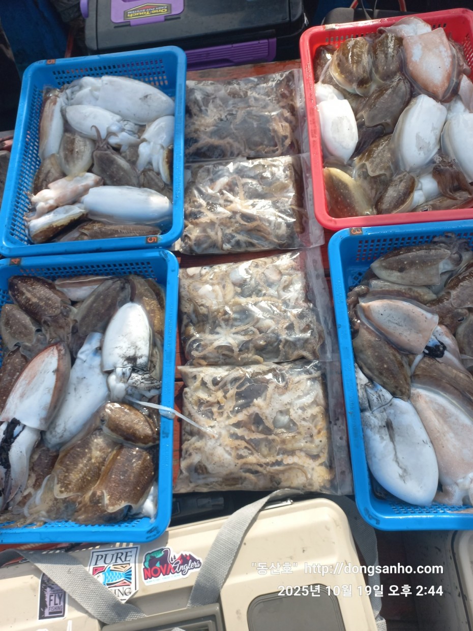 e37850fde0ae6fbd779ea06b6e0b43c2_1760943