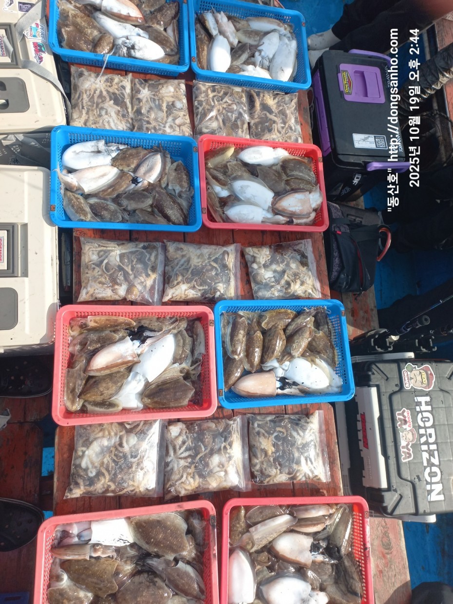 e37850fde0ae6fbd779ea06b6e0b43c2_1760943