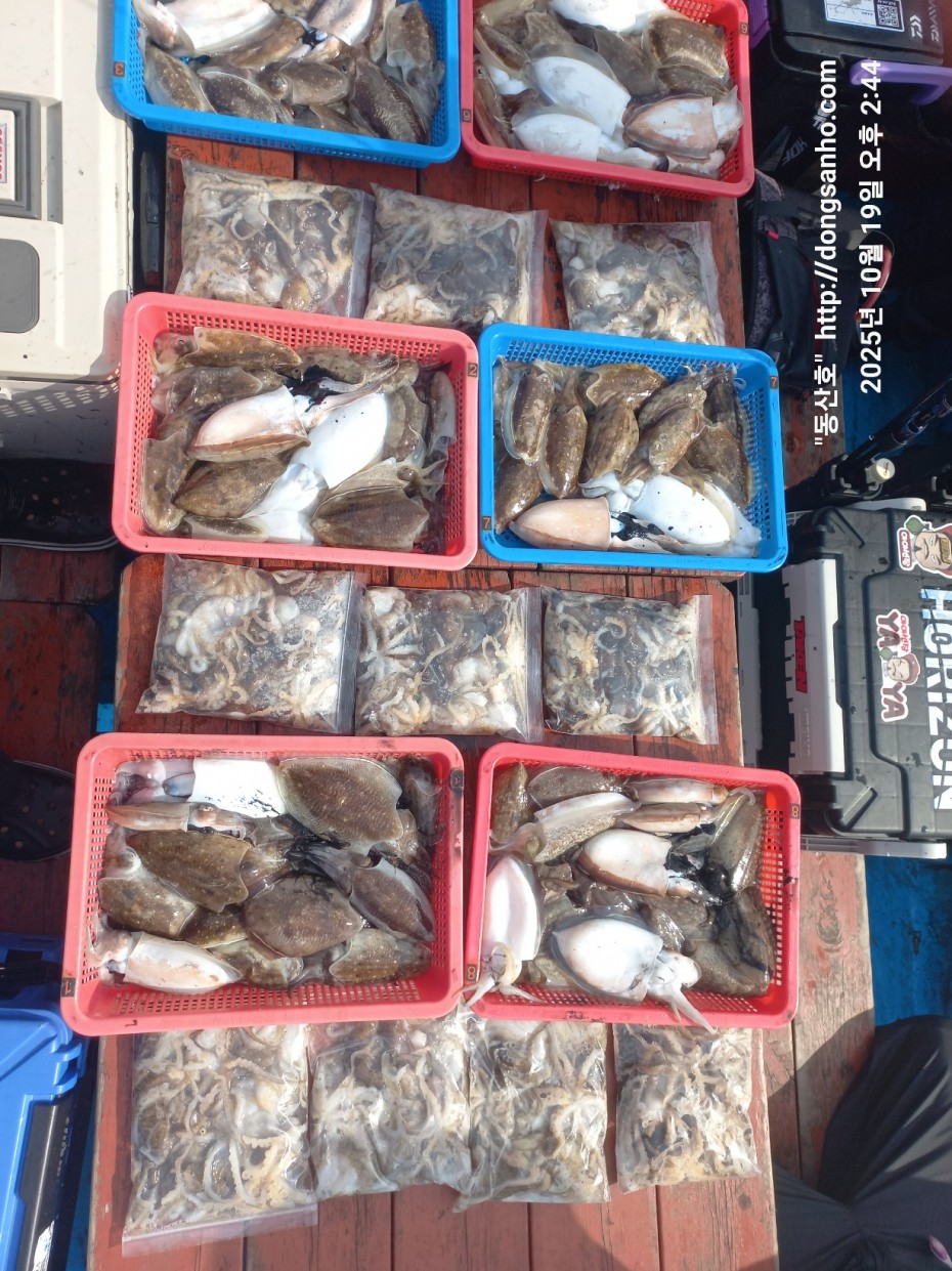 e37850fde0ae6fbd779ea06b6e0b43c2_1760943