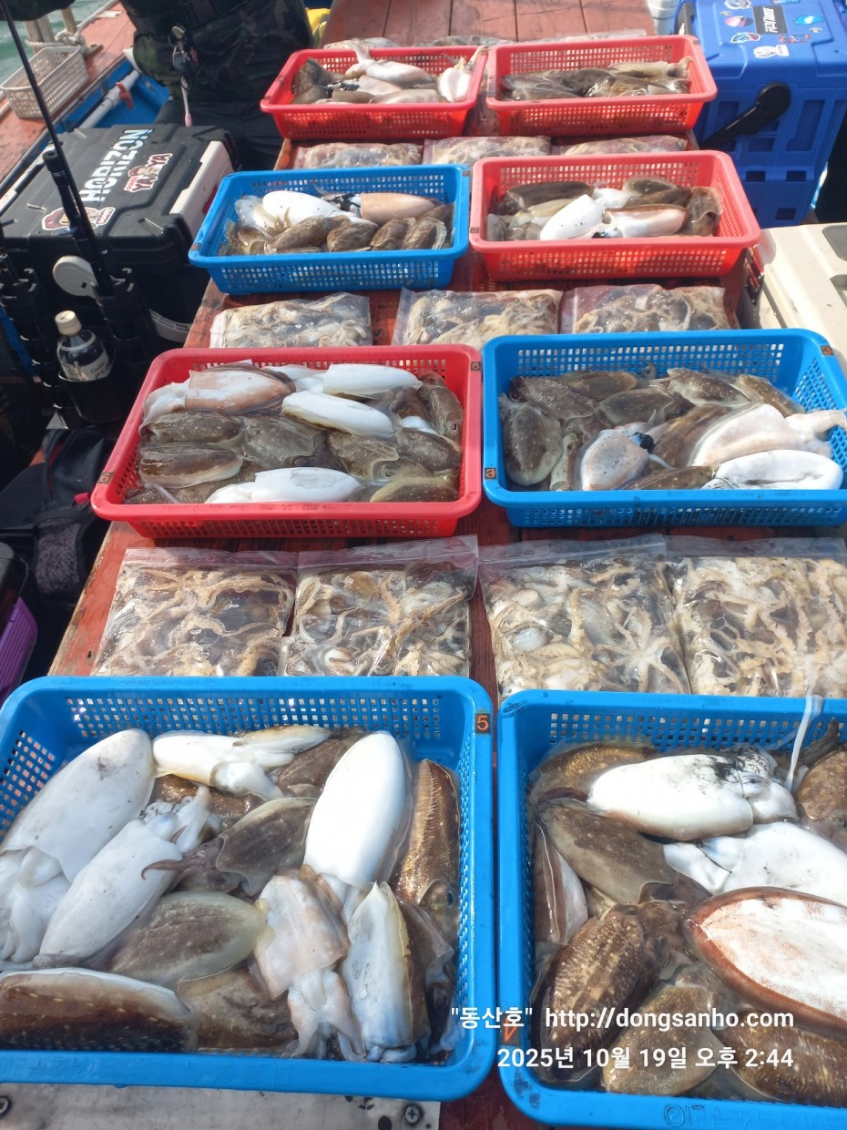 e37850fde0ae6fbd779ea06b6e0b43c2_1760943