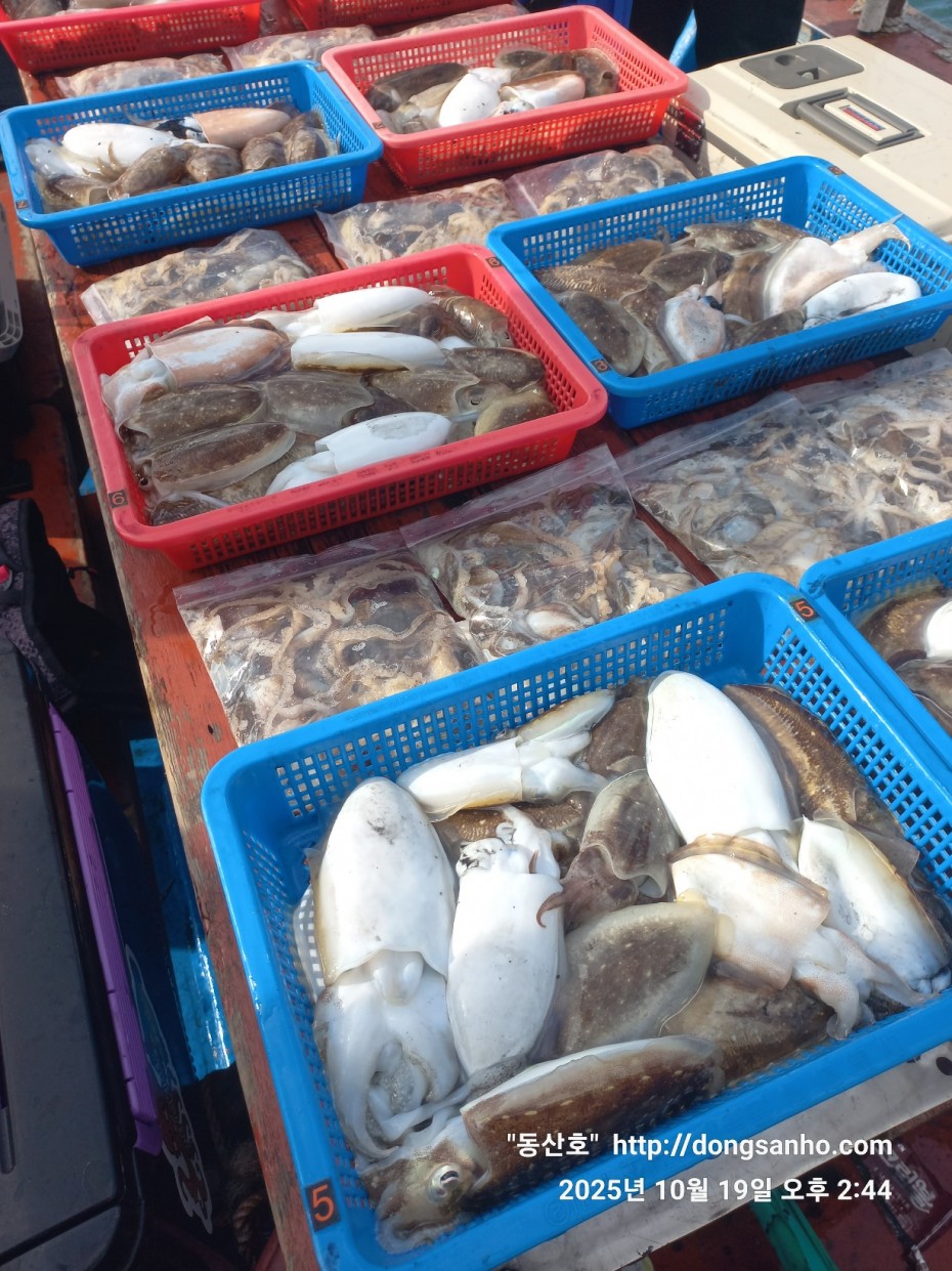 e37850fde0ae6fbd779ea06b6e0b43c2_1760943