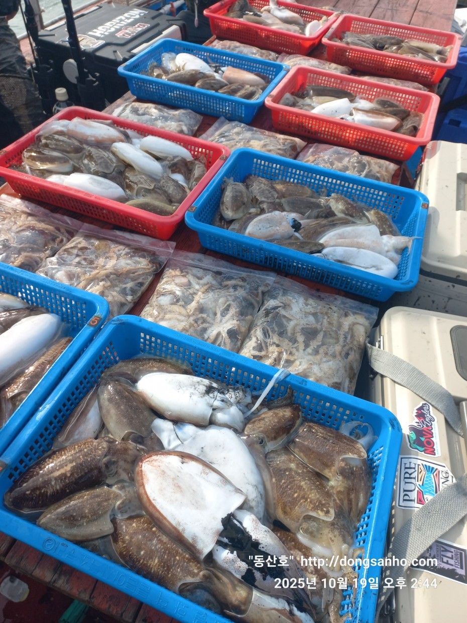 e37850fde0ae6fbd779ea06b6e0b43c2_1760943