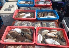 10/19 쭈꾸미낚…