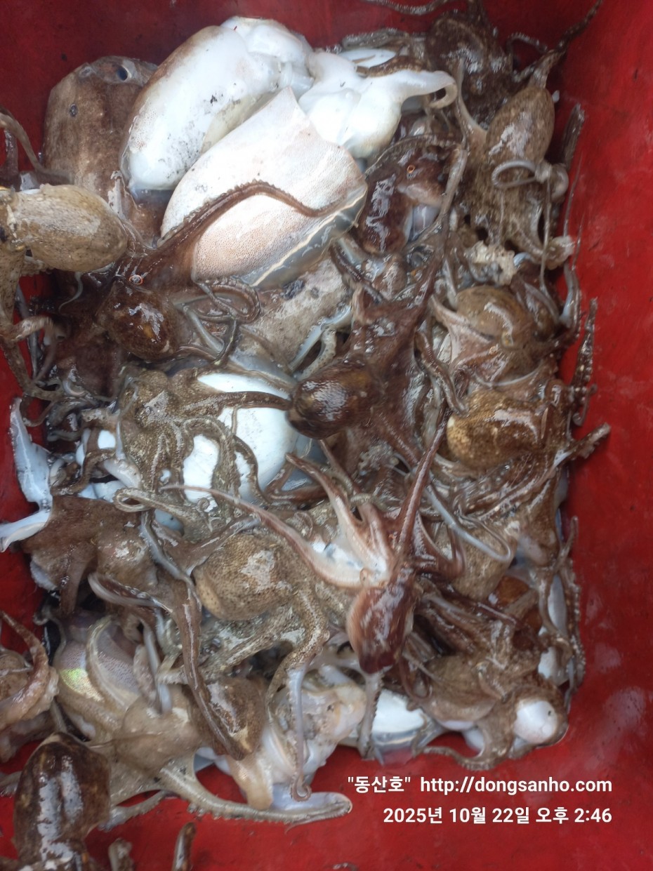 e37850fde0ae6fbd779ea06b6e0b43c2_1761151