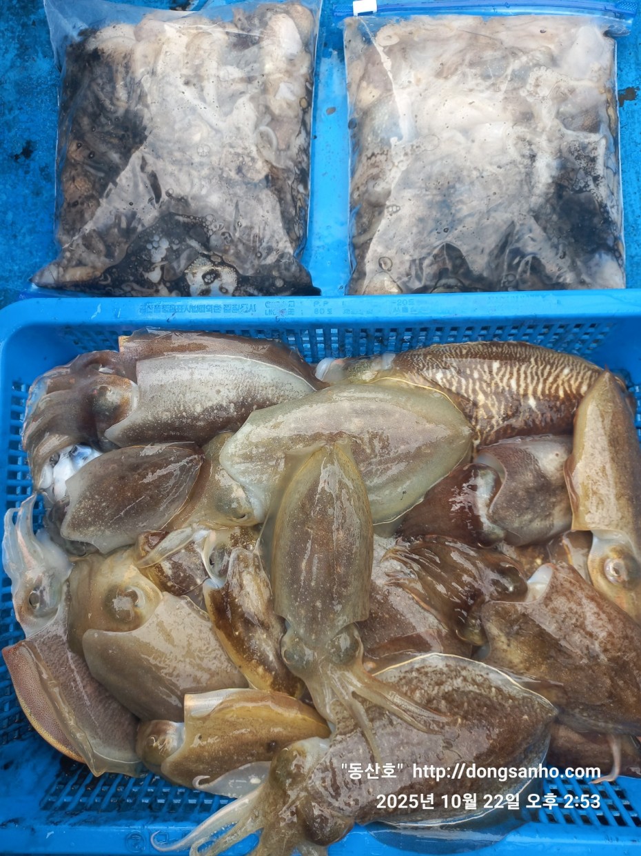 e37850fde0ae6fbd779ea06b6e0b43c2_1761151