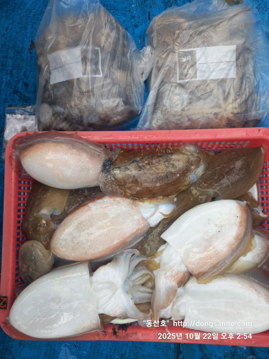 e37850fde0ae6fbd779ea06b6e0b43c2_1761151