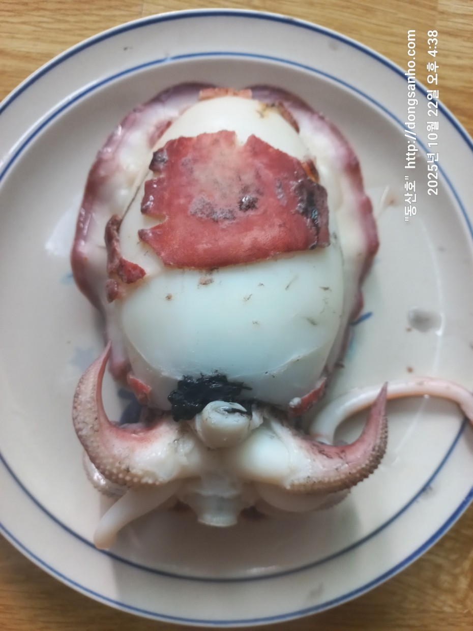 e37850fde0ae6fbd779ea06b6e0b43c2_1761151