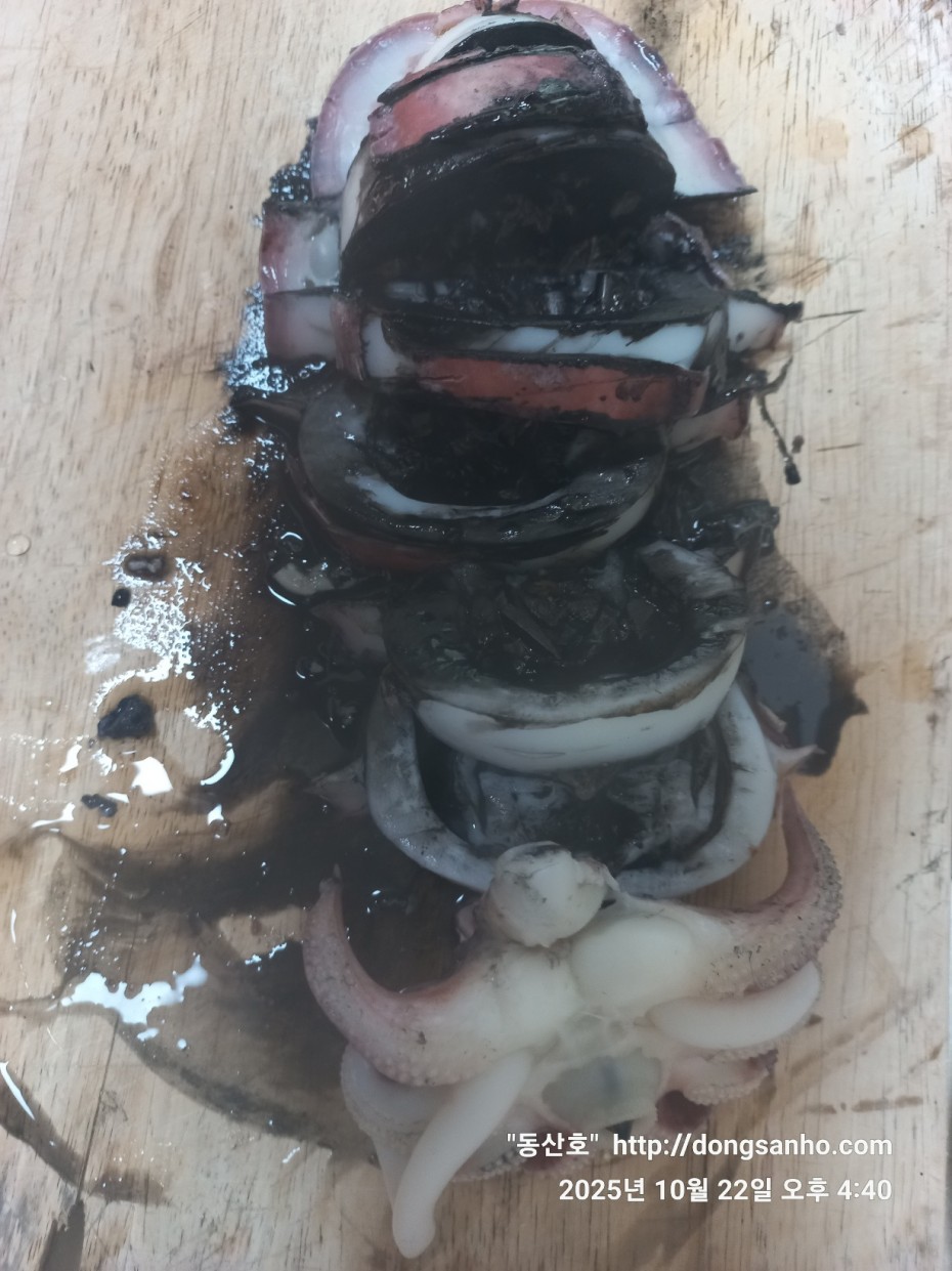 e37850fde0ae6fbd779ea06b6e0b43c2_1761151