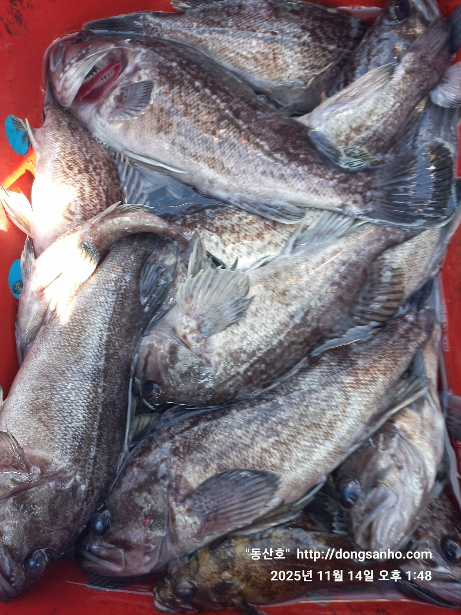 1d83b5011e8aa557f1940dab04e57778_1763142