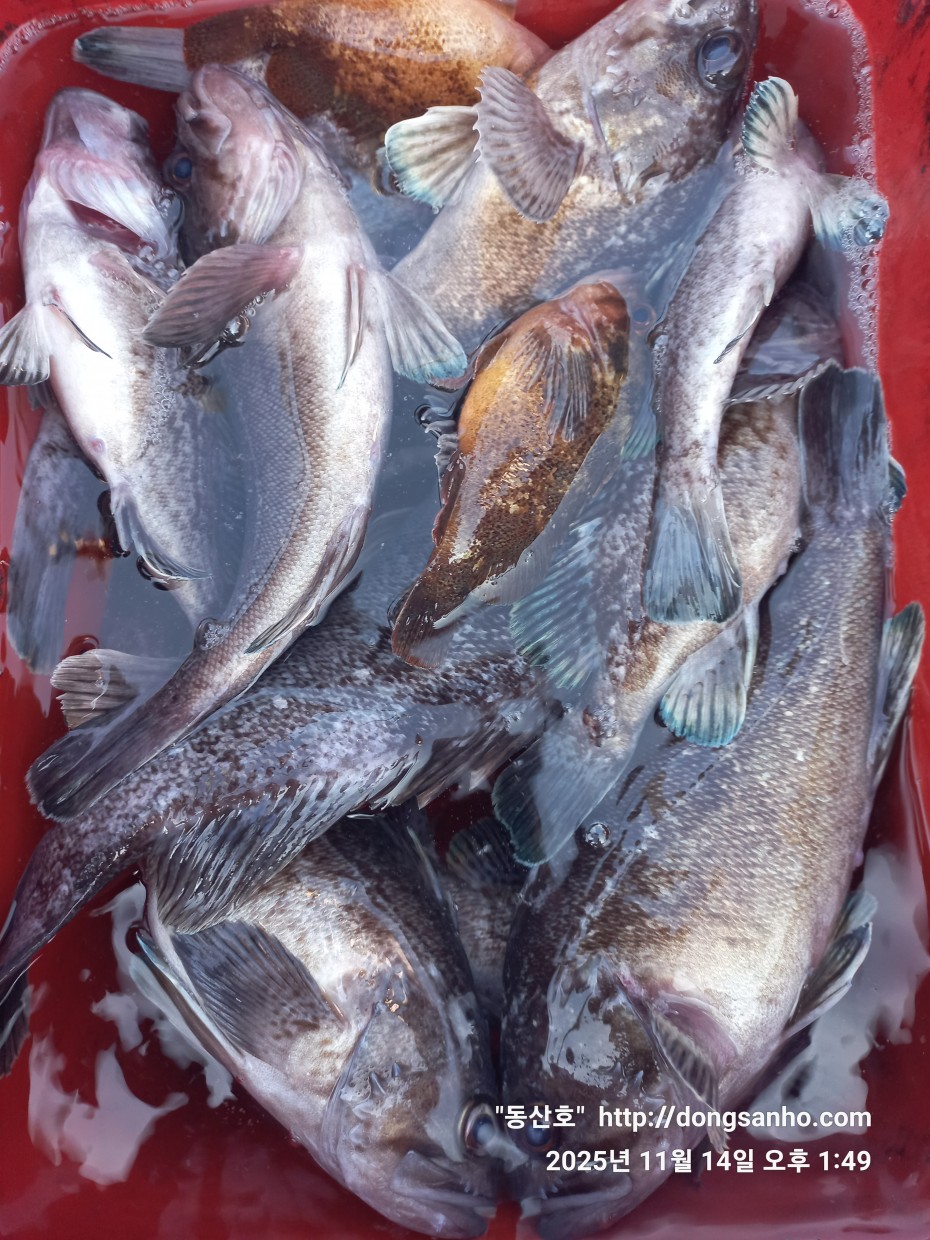 1d83b5011e8aa557f1940dab04e57778_1763142