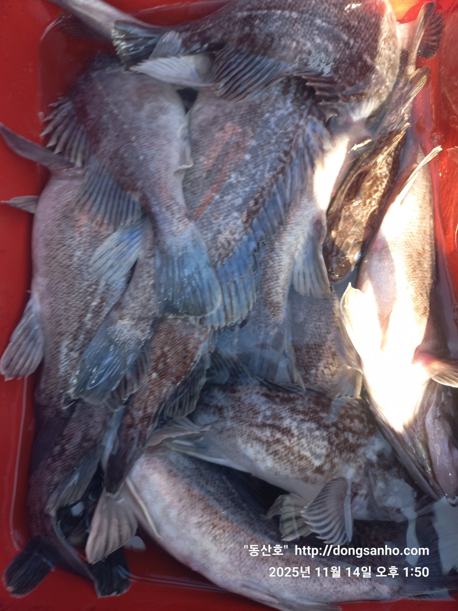 1d83b5011e8aa557f1940dab04e57778_1763142