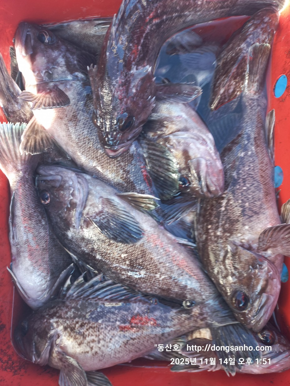 1d83b5011e8aa557f1940dab04e57778_1763142