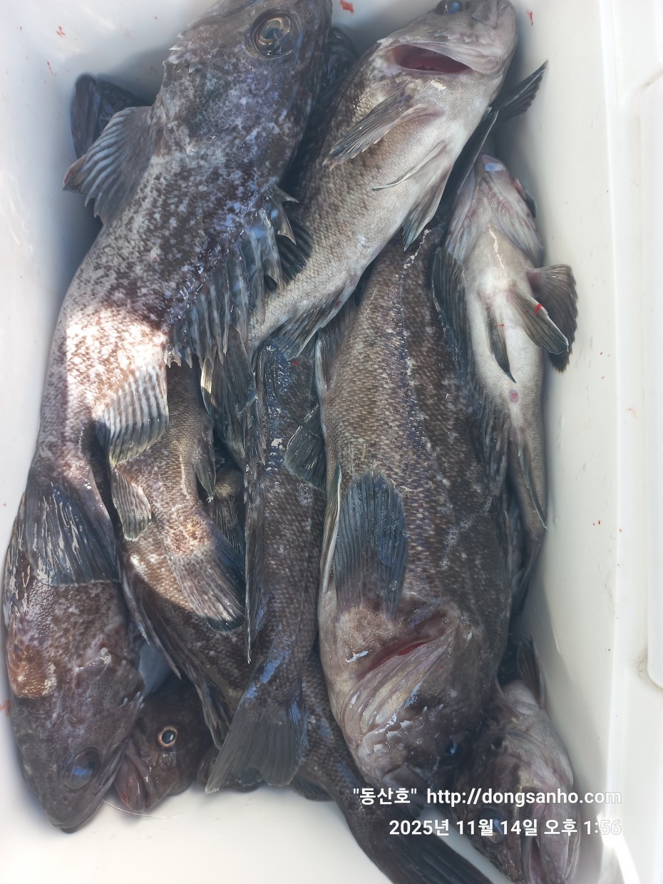 1d83b5011e8aa557f1940dab04e57778_1763142