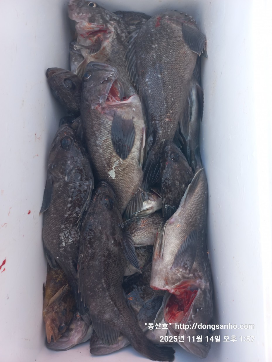 1d83b5011e8aa557f1940dab04e57778_1763142