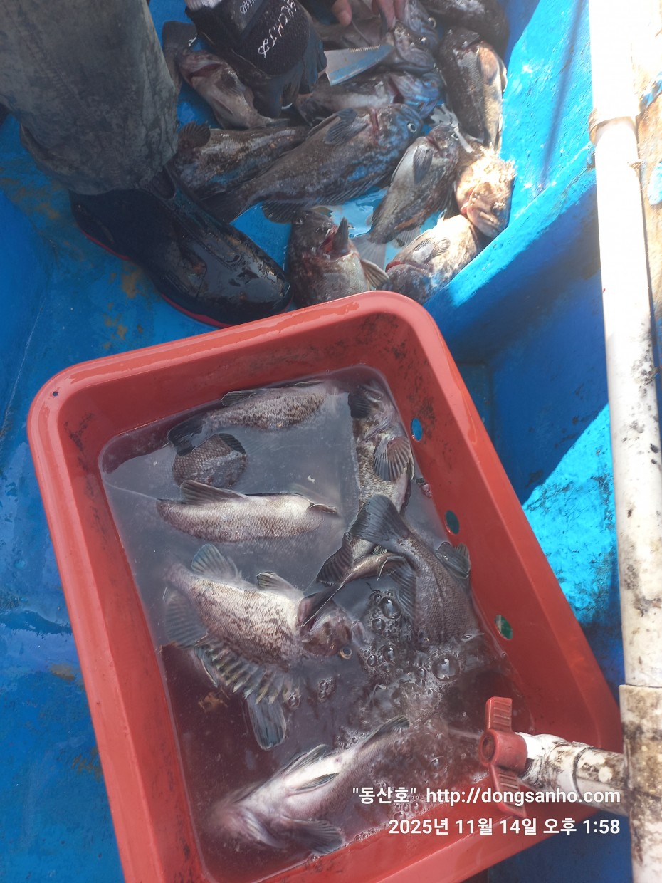 1d83b5011e8aa557f1940dab04e57778_1763142