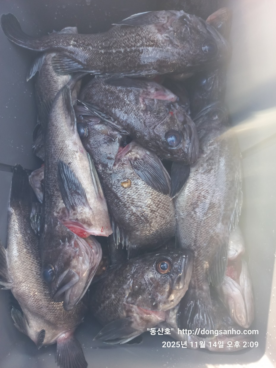 1d83b5011e8aa557f1940dab04e57778_1763142