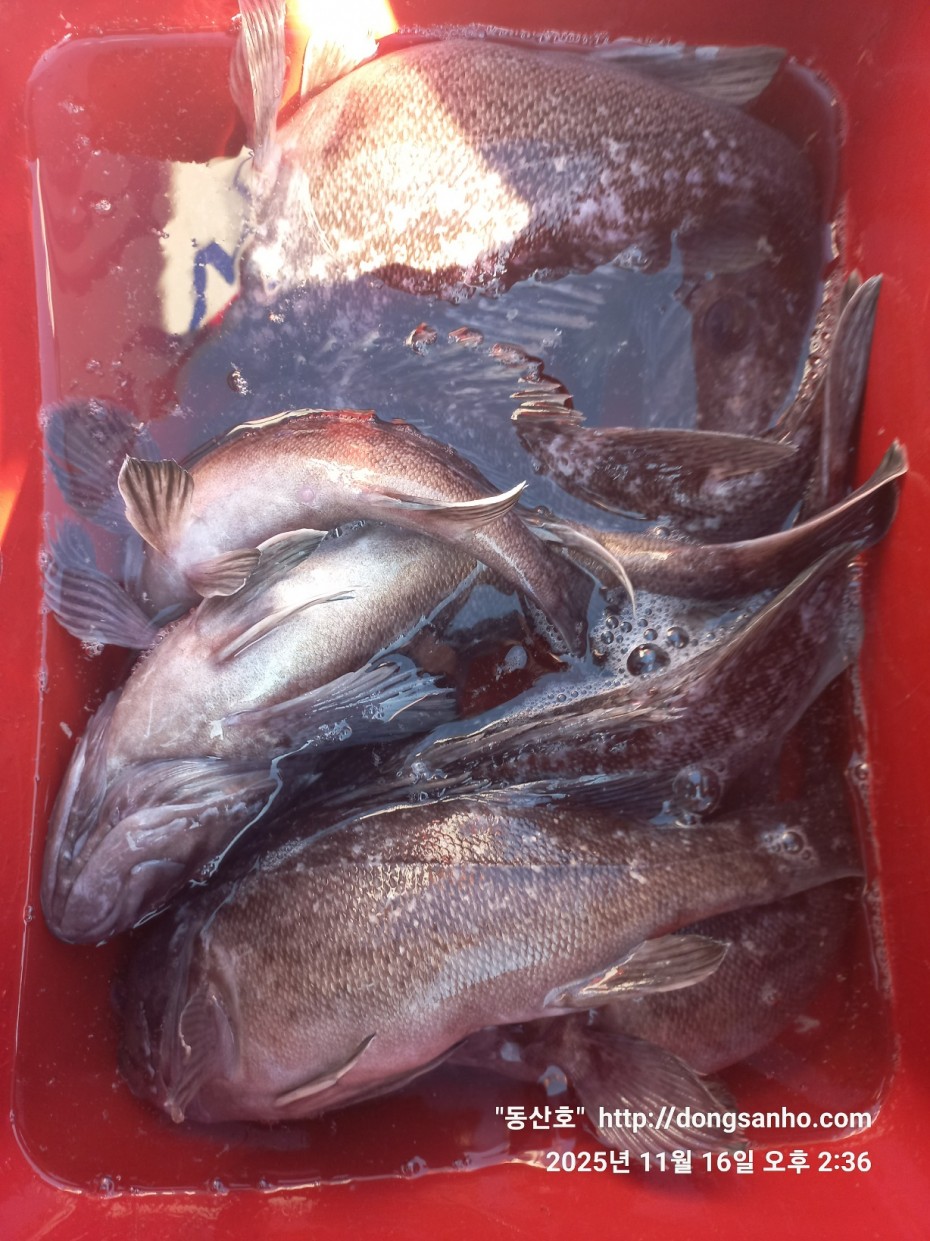 1d83b5011e8aa557f1940dab04e57778_1763416