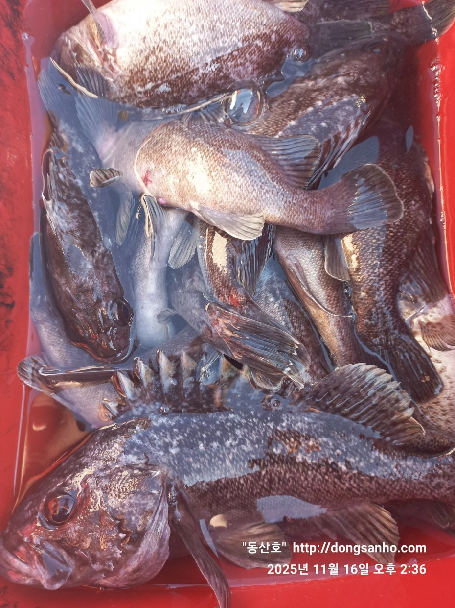 1d83b5011e8aa557f1940dab04e57778_1763416