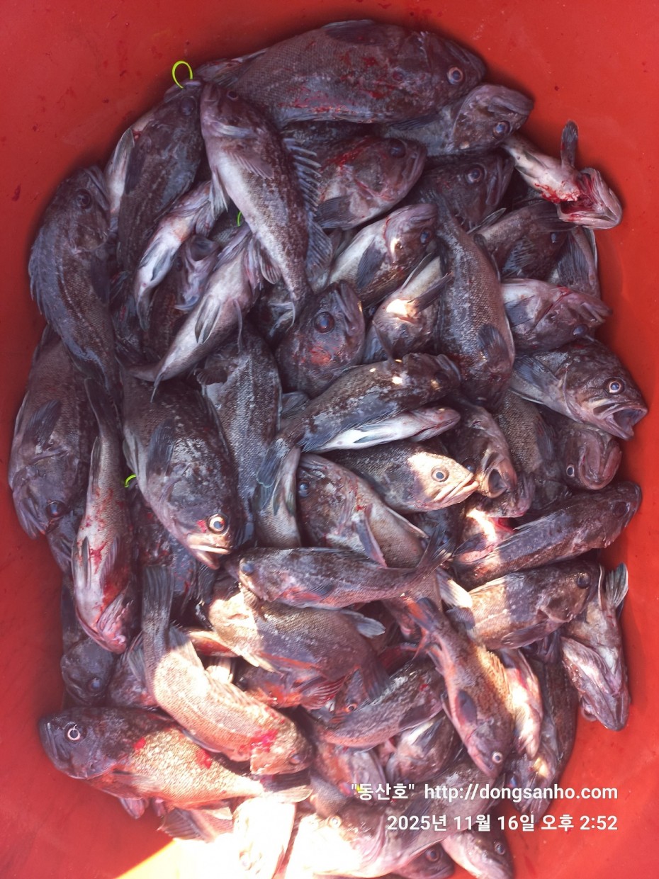 1d83b5011e8aa557f1940dab04e57778_1763416