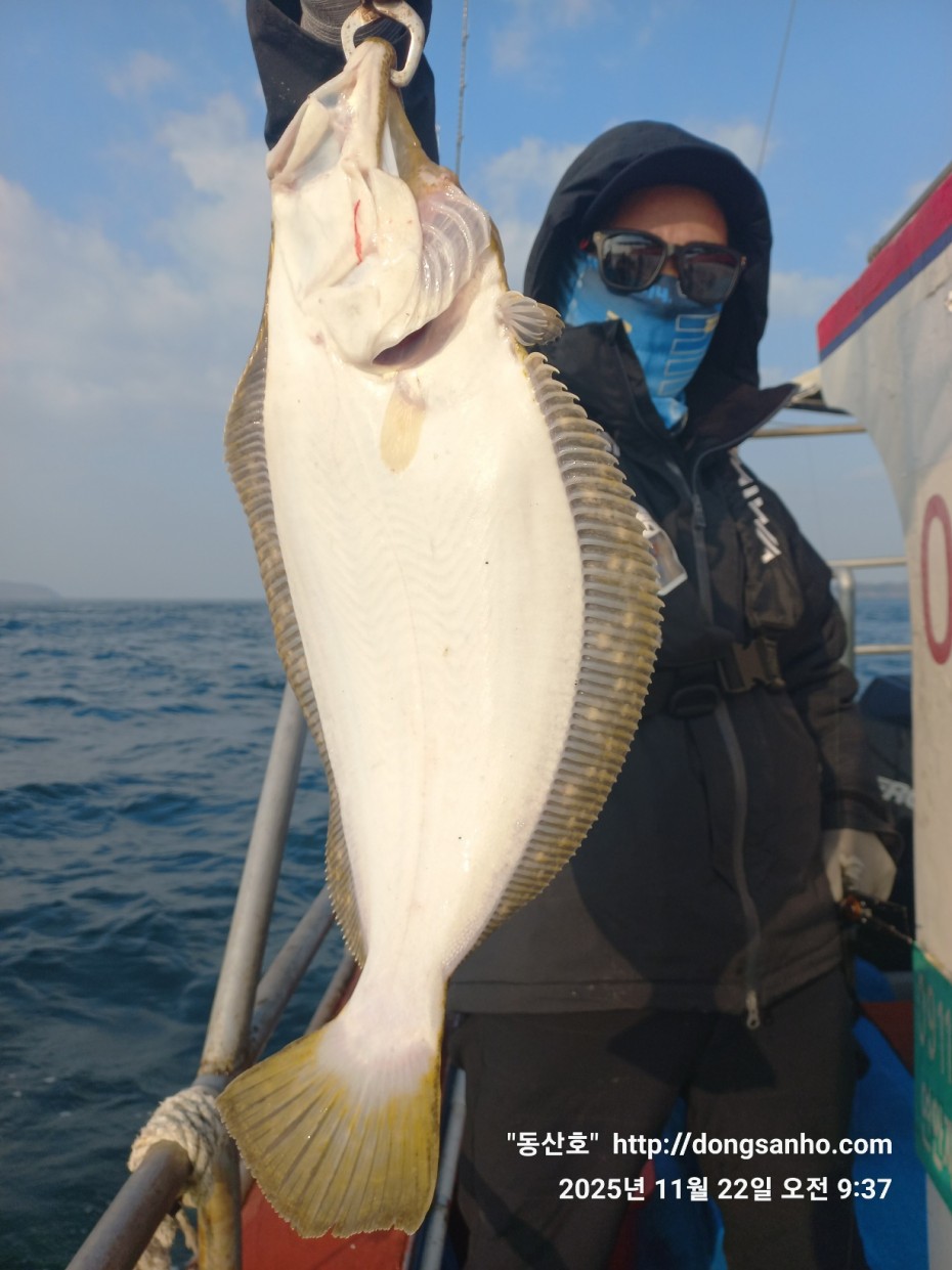 1e36c5923a7f33421212e32d37264314_1763913