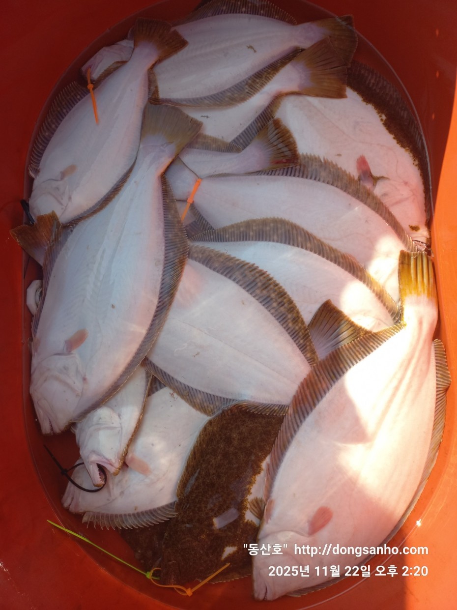 1e36c5923a7f33421212e32d37264314_1763913