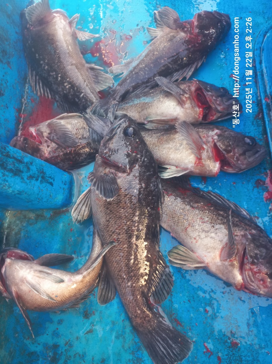 1e36c5923a7f33421212e32d37264314_1763913