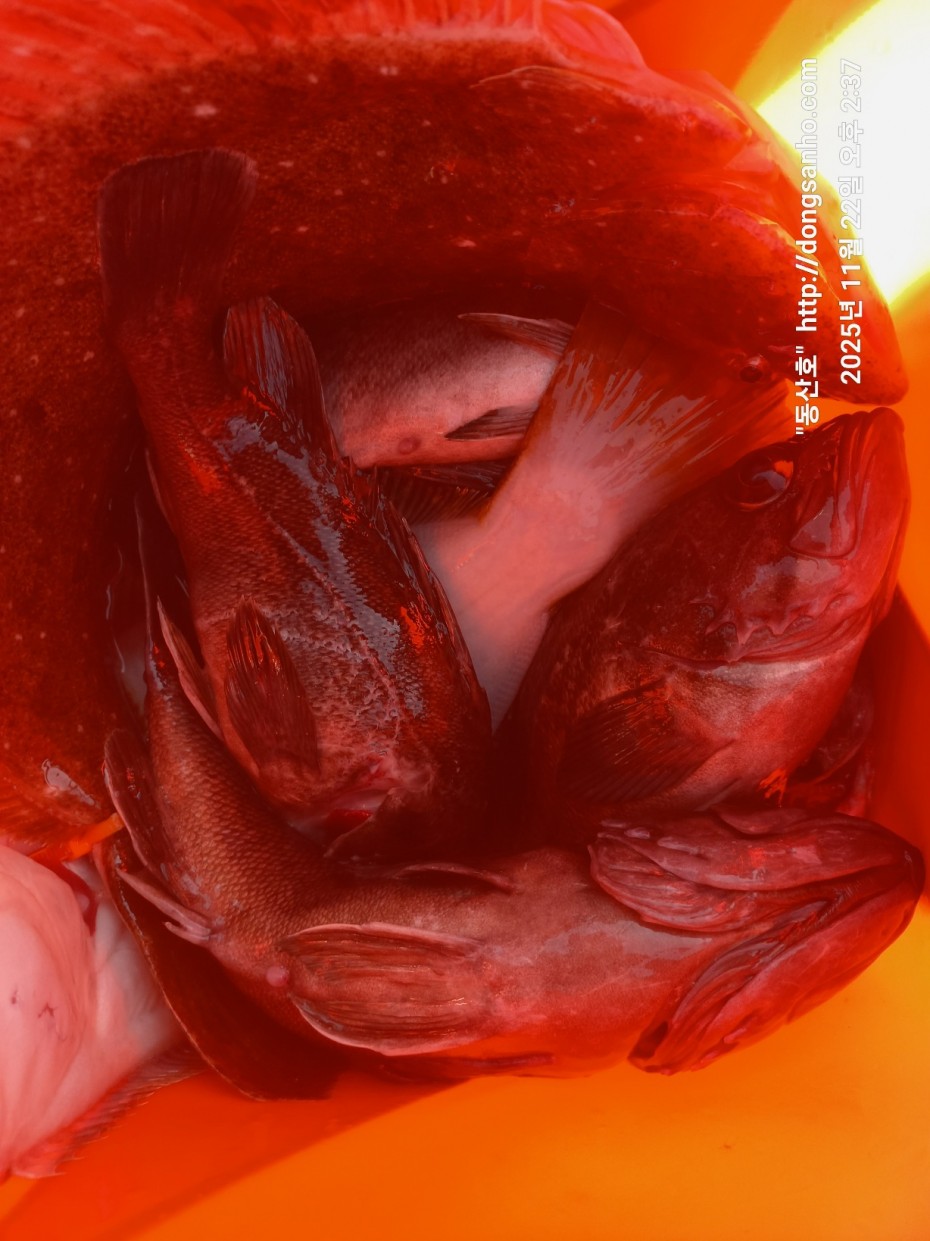 1e36c5923a7f33421212e32d37264314_1763913