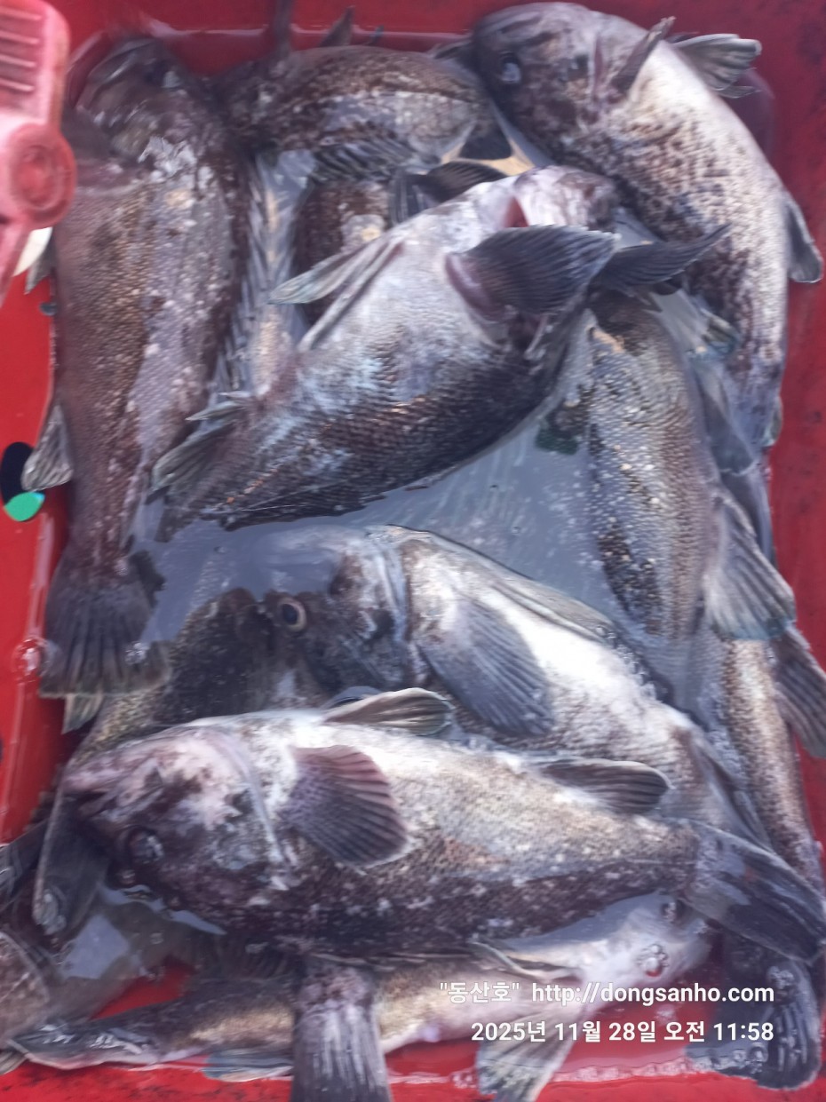 3120293bfb324c82bb29ecd1297a955e_1764345