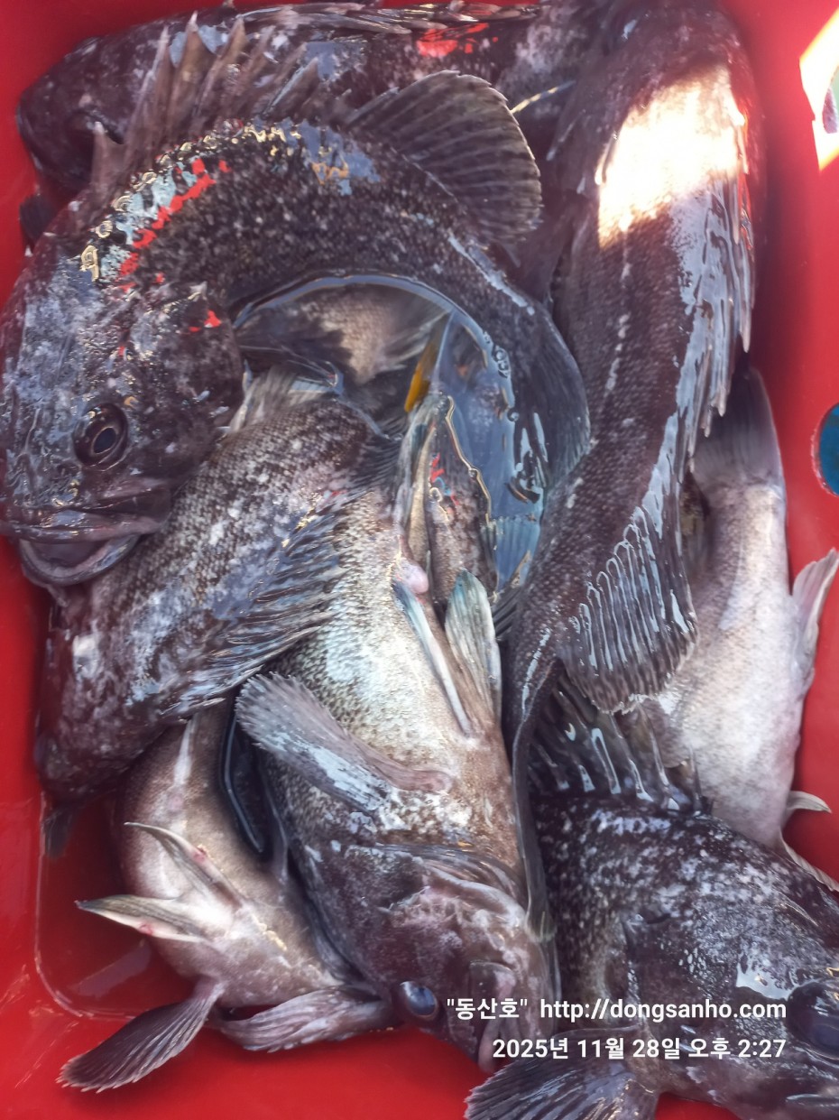 3120293bfb324c82bb29ecd1297a955e_1764345