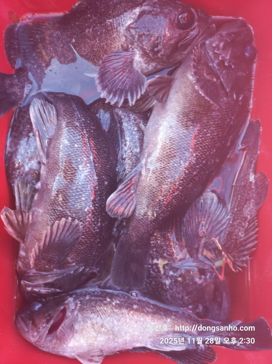 3120293bfb324c82bb29ecd1297a955e_1764345